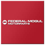Federal Mogul Motorparts 